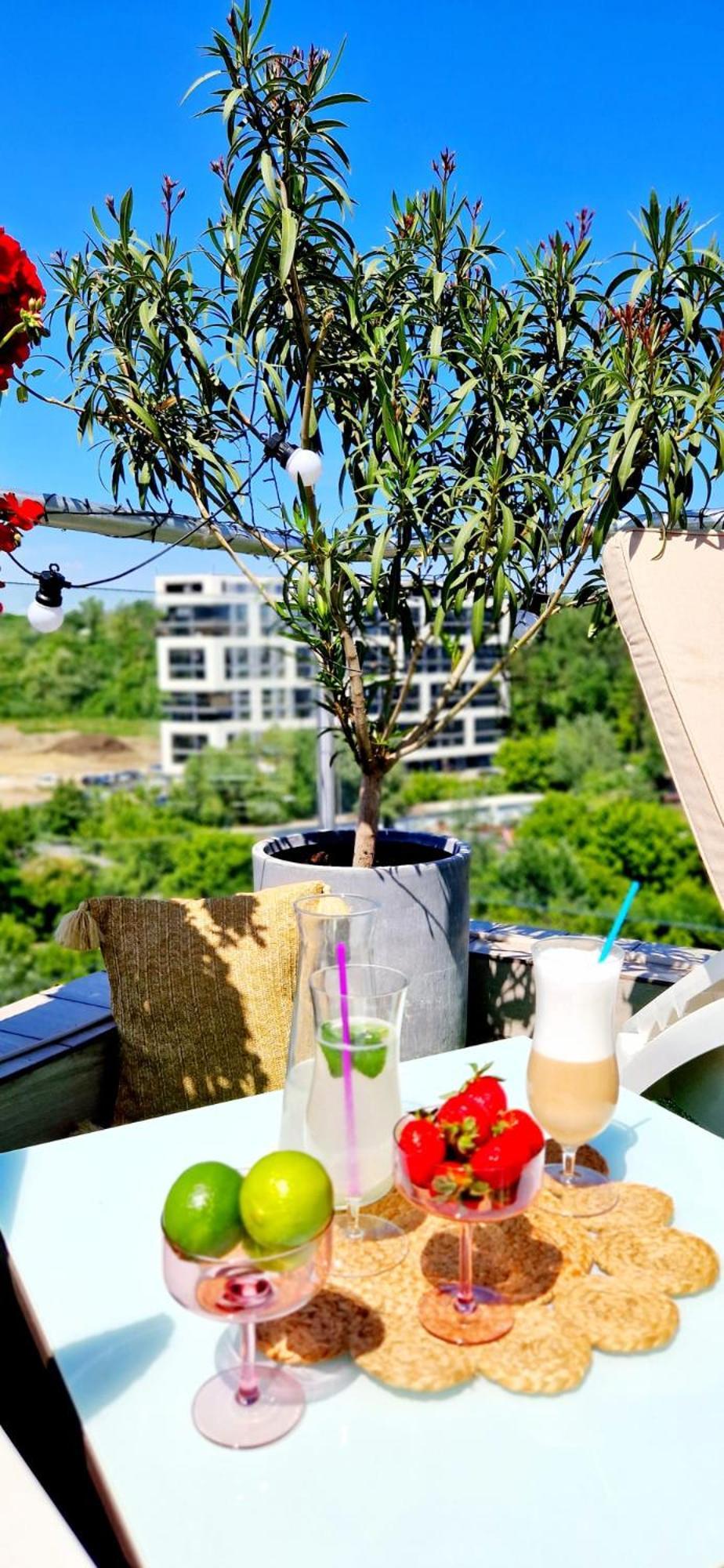 Penthouse View Aeroport Iasi 2 Leilighet Eksteriør bilde